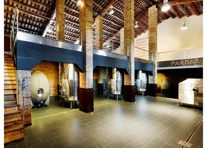 Villa Masia Comas Sant Pere de Riudebitlles